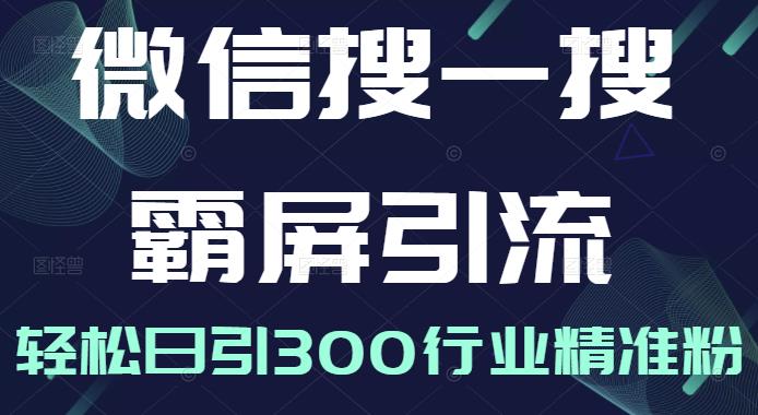 微信搜一搜霸屏引流课，打造被动精准引流系统，轻松日引300行业精准粉-88共享