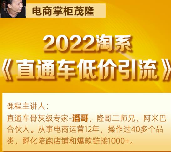 茂隆2022直通车低价引流玩法，教大家如何低投入高回报的直通车玩法-88共享