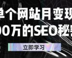 单个网站月变现100万的SEO秘密,百分百做出赚钱站点-88共享