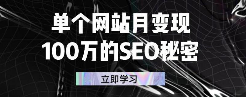 单个网站月变现100万的SEO秘密，百分百做出赚钱站点-88共享