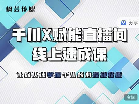 枫芸传媒-线上千川提升课，提升千川认知，提升千川投放效果-88共享