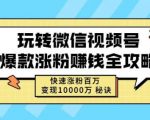 玩转微信视频号爆款涨粉赚钱全攻略，快速涨粉百万变现万元秘诀-88共享
