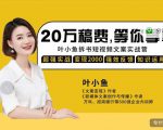 叶小鱼21天短视频文案拆书营,学完轻松搞定各类书单短视频文案-88共享