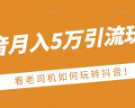 老古董·抖音月入5万引流玩法,看看老司机如何玩转抖音(附赠:抖音另类引流思路)-88共享