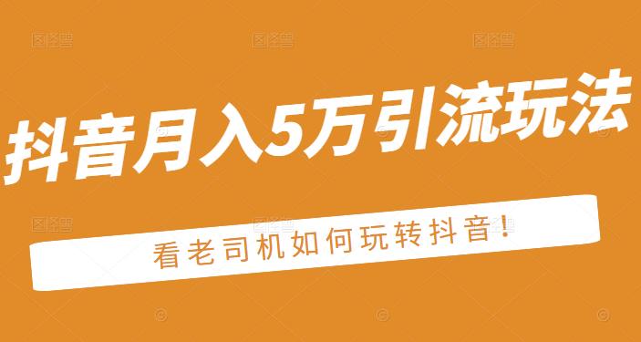 老古董·抖音月入5万引流玩法，看看老司机如何玩转抖音(附赠：抖音另类引流思路)-88共享