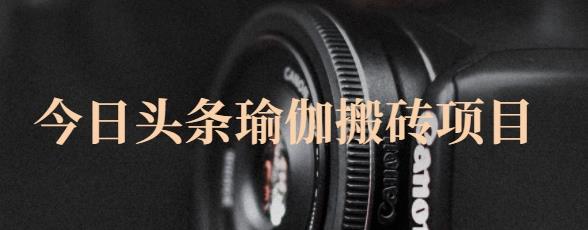 猎人社区·今日头条瑜伽搬砖项目，单号一天几十收入，可以批量操作！-88共享