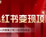 渣圈学苑·小红书虚拟资源变现项目,一起捞钱掘金价值1099元-88共享