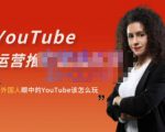 外国人眼中的YouTube该怎么玩?Elisa·YouTube运营推广实战技巧-88共享