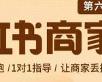 贾真-小红书商家营第6期商家版,21天带货陪跑课,让商家丢掉付流量-88共享