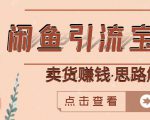 闲鱼引流宝妈粉+卖货赚钱一个月收益30000+(实操视频教程)-88共享