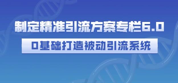 制定精准引流方案专栏6.0，0基础打造被动引流系统-88共享