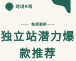 【跨境B哥】独立站潜力爆款选品推荐,测款出单率高达百分之80-88共享