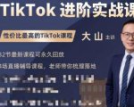 大山老师TikTok进阶实战课：账号详解，流量运营，实战变现，助力你成功出海-88共享