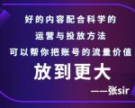 张sir账号流量增长课，告别海王流量，让你的流量更精准-88共享