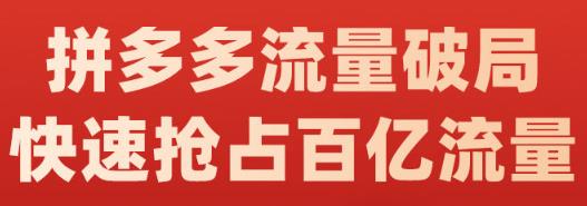 阿杰·拼多多流量破局:如何打黑标，爆款的思路，拼多多流量框架，快速抢占百亿流量-88共享