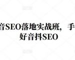 王通·抖音SEO落地实战班,手手带你做好音抖SEO-88共享