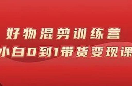 万三好物混剪训练营：小白0到1带货变现课-88共享