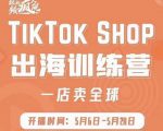 疯人院:TikTok Shop出海训练营（一店卖全球)，出海抢占全球新流量-88共享