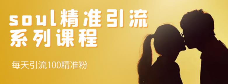 soul精准引流系列课程，每天引流100精准粉-88共享