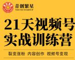 张萌21天视频号实战训练营,裂变涨粉、内容创作、视频号变现 价值298元-88共享