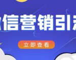 微信营销策划引流系列课程,每天引流100精准粉-88共享