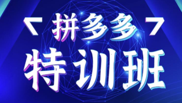 星雪教育·拼多多基础班+进阶班+突破班，用系统的学习模式快速改变现状价值3580元-88共享