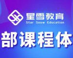 星雪教育淘系高级班,更全的运营提升方案,零基础由浅入深,店铺最新玩法-88共享
