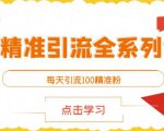 闲鱼精准引流全系列课程,每天引流100精准粉【视频课程】-88共享