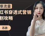 苏歆:小红书穿透式营销收割攻略,引爆流量,助你玩转小红书-88共享
