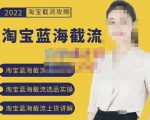 2022淘宝蓝海截流攻略,淘宝蓝海截流选品上货实操讲解-88共享