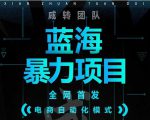 引流哥蓝海暴力躺赚项目:无需发圈无需引流无需售后,每单赚50-500(教程+线报群)-88共享