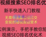 宋老师·短视频搜索SEO优化,教你10分钟创作一个短视频,三天排名上第一-88共享