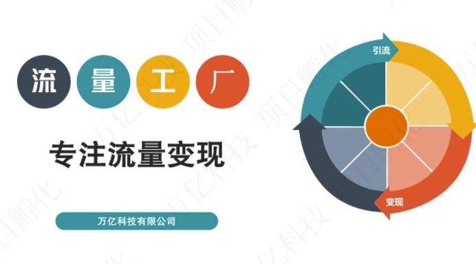 收费3980的流量工厂回粉项目，号称1个粉10元【详细玩法教程解析】-88共享