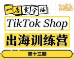 TikTokShop出海训练营(第十三期),打开全球流量新思维,出海抢占全球新流量,一店卖全球-88共享