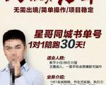 星哥同城教育书单号课程,无需出境简单操作项目稳定-88共享