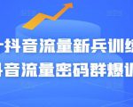 Peter抖音流量新兵训练营-破解抖音流量密码群爆训练营（新兵）-88共享