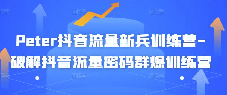 Peter抖音流量新兵训练营-破解抖音流量密码群爆训练营（新兵）-88共享