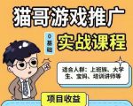 猫哥·游戏推广实战课程,单视频收益达6位数,从0到1成为优质游戏达人-88共享