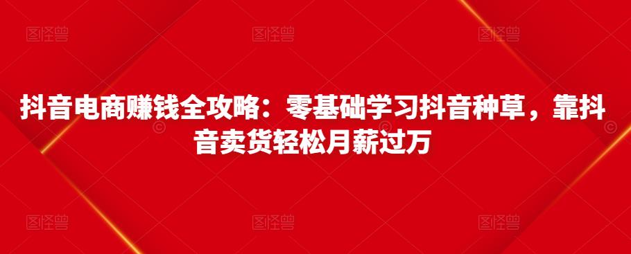 抖音电商赚钱全攻略：零基础学习抖音种草，靠抖音卖货轻松月薪过万-88共享