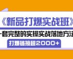 凌童《新品打爆实战班》,一套完整的实操实战落地方法,打爆链接超2000+(28节课)-88共享