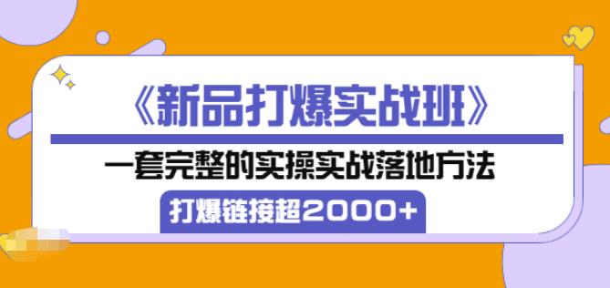 凌童《新品打爆实战班》,一套完整的实操实战落地方法，打爆链接超2000+（28节课)-88共享