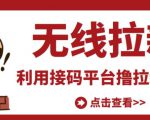 最新接码无限拉新项目，利用接码平台赚拉新平台差价，轻松日赚500+-88共享