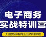 民赛电气内部出品:电子商务实战特训营,全方位带你入门电商,308种方式玩转电商-88共享