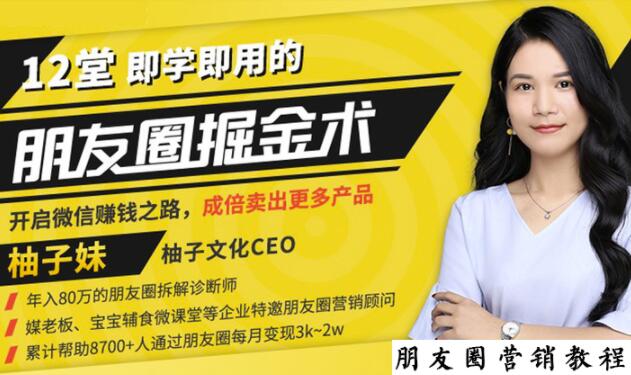 【营销必学】12堂学之即用的朋友圈掘金术：开启你的副业赚钱之路-88共享