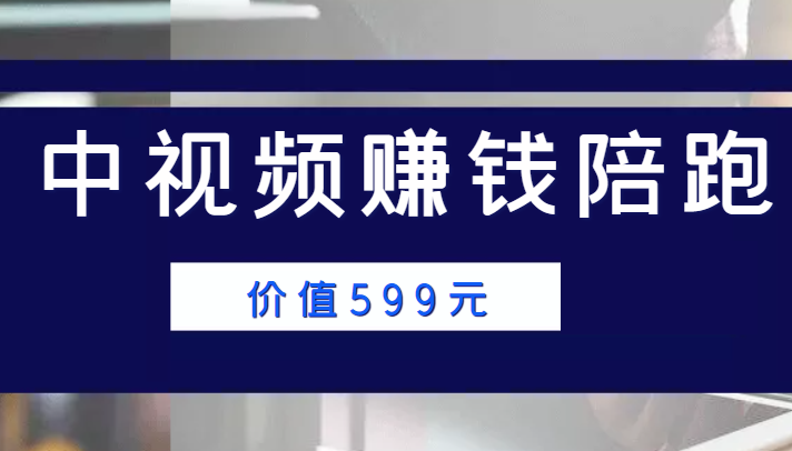 中视频赚钱陪跑，卖中视频账户赚钱收益陪跑项目（价值599元）-88共享