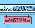 玩转微信视频号赚钱：小白变大咖涨粉百万实现快速变现1000万的现金流-88共享