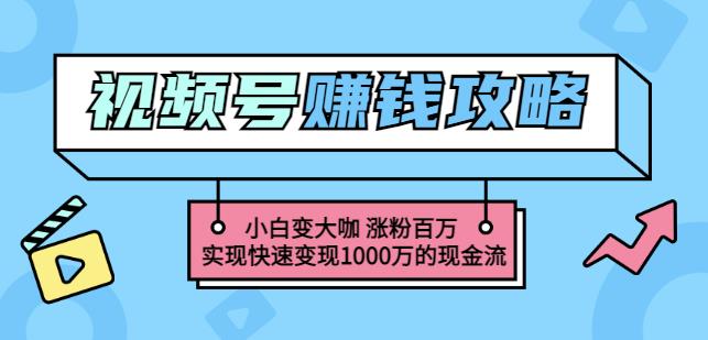玩转微信视频号赚钱：小白变大咖涨粉百万实现快速变现1000万的现金流-88共享