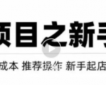 虚拟项目快速起店模式,0成本打造月入几万虚拟店铺!-88共享