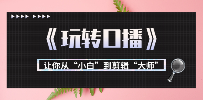 月营业额700万+大佬教您《玩转口播》让你从“小白”到剪辑“大师”-88共享