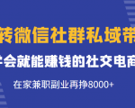 玩转微信社群私域带货,学会就能赚钱的社交电商,在家兼职副业再挣8000+-88共享